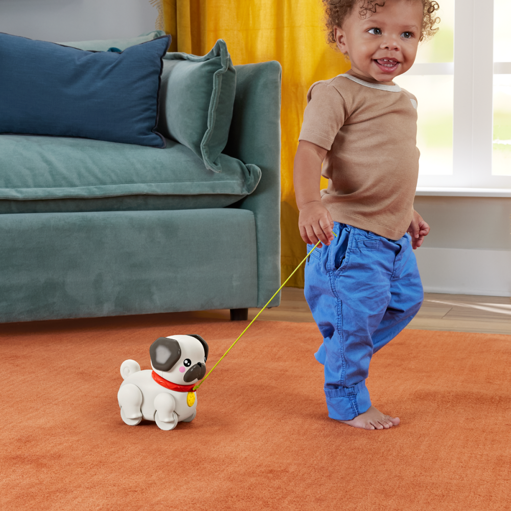 Jucarie de tras cu sunete, Fisher Price, Catel, HTW94