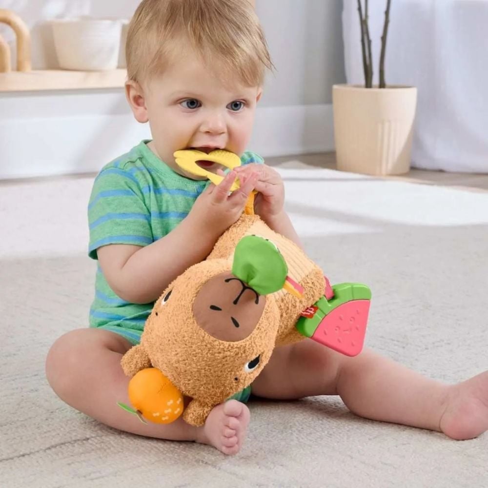 Jucarie de plus, Fisher Price, Capibara, HYR54