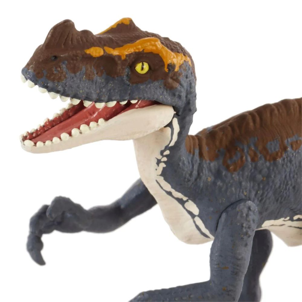 Figurina articulata, Jurassic World Rebirth, Frenzy Pack, Proceratosaurus, JCL55