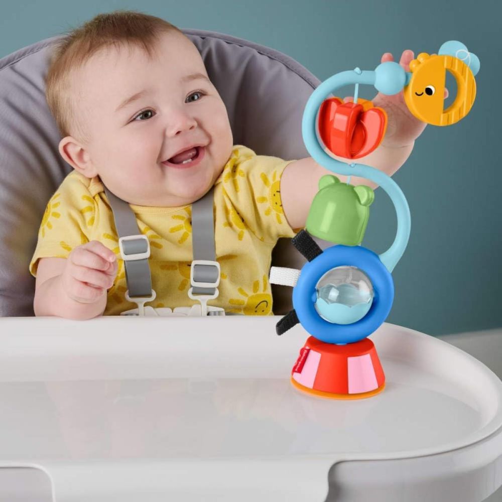 Jucarie senzoriala cu ventuza, Fisher Price, JHB46