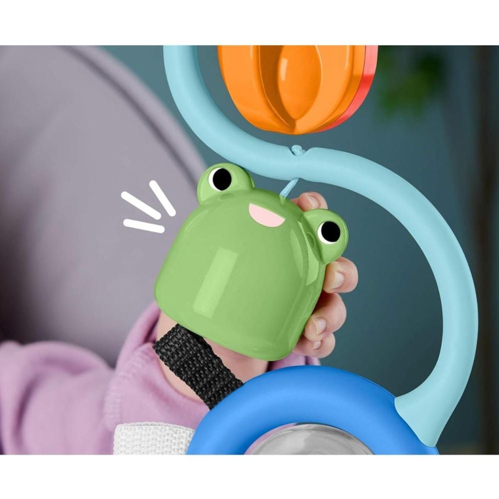 Jucarie senzoriala cu ventuza, Fisher Price, JHB46