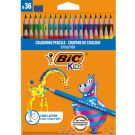 Set creioane colorate Evolution Bic, P36