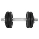 Gantera cu set de 4 discuri DHS, 12 kg