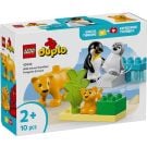 LEGO® DUPLO® - Familii de animale salbatice: Pinguini si lei (10442)
