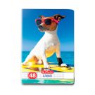 Caiet matematica Herlitz, A5, 48 file, Cool Dog