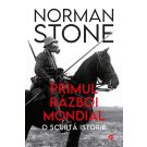Primul Razboi Mondial. O scurta istorie, Norman Stone 