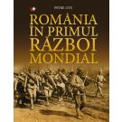 Romania in Primul Razboi Mondial, Petre Otu 