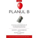 Planul B, Sheryl Sandberg, Adam Grant 
