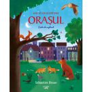 Hai sa descoperim orasul. Carte de explorat, Sebastien Braun