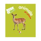 Carte copii Editura Litera, Bebe invata, Animale din padure