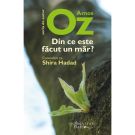 Din ce este facut un mar?, Amos Oz
