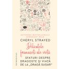 Delicatele frumuseti ale vietii, Cheryl Strayed