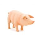 Figurina Mojo, Porc