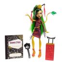 Monster High - Papusi Plimbarete