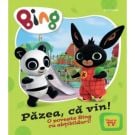 O poveste Bing cu abtibilturi, Pazea, ca vin