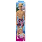 Papusa Ken, Barbie Beach, HPV23