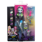 Papusa cu animal de companie, Monster High, Frankie Refresh, HXH73