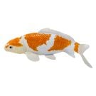 Figurina Mojo, Peste Koi Ochiba Shigure