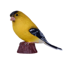 Figurina Mojo, Pasare American Goldfinch