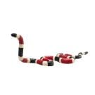 Figurina Mojo, Sarpe Coral