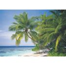 Puzzle Ravensburger Maldives, 1500 piese