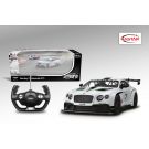 R/C 1:14 Bentley Continental GT3 