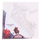 Set pictura pe panza 20 x 20 cm - Spiderman