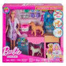 Set de joaca cu papusa, Barbie, Clinica Veterinara, JFX93
