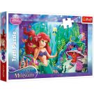Puzzle Trefl, Mica sirena, De-a v-ati ascunselea, 100 piese