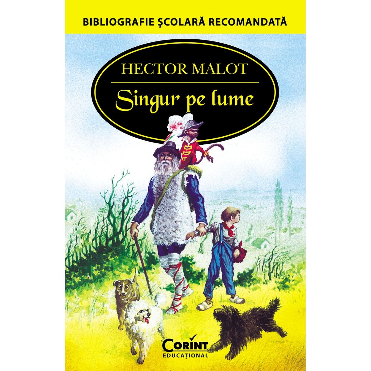 Carte editura corint, singur pe lume, hector malot