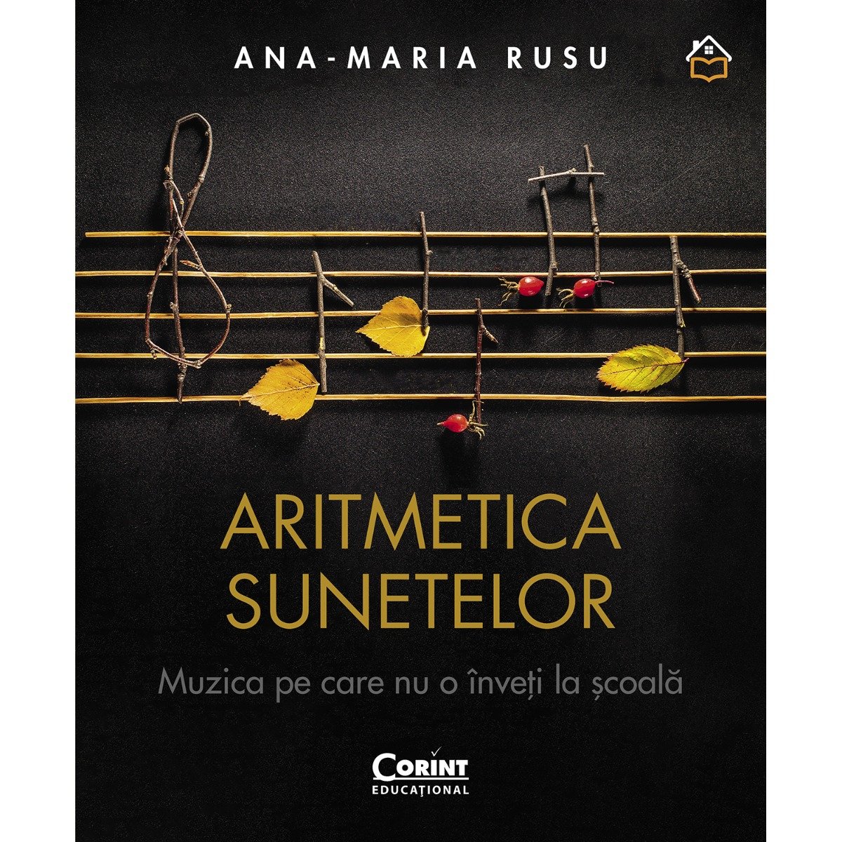 Aritmetica sunetelor, Ana-Maria Rusu