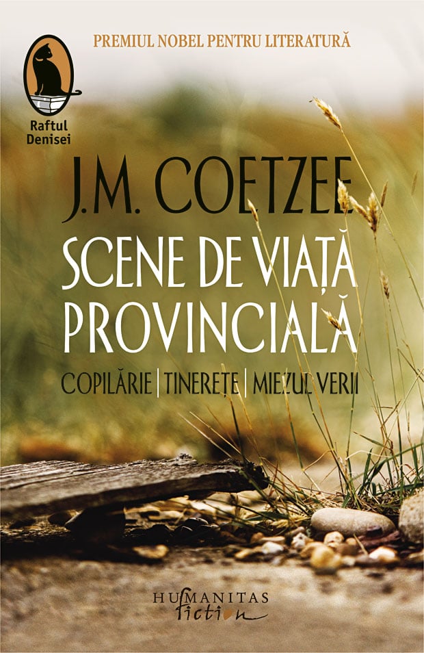Scene de viata provinciala. copilarie. tinerete. miezul verii, j. m. coetzee 