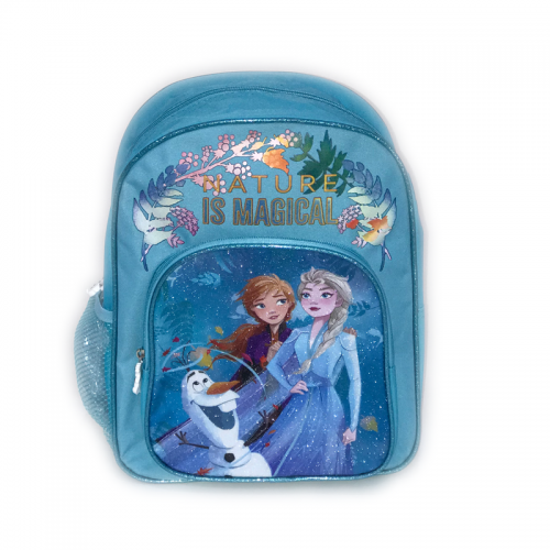 Ghiozdan cu 2 compartimente Disney Frozen