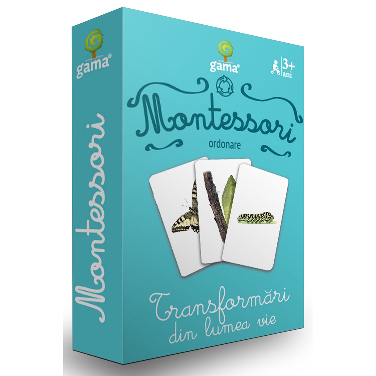 Editura Gama, Carti de joc educative Montessori Seria 3, Transformari din lumea vie Gama imagine noua