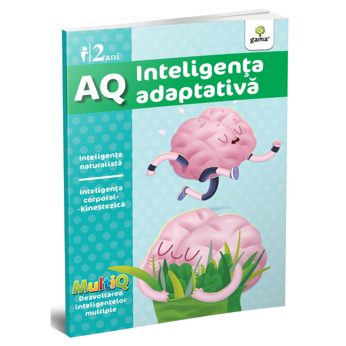 AQ. Inteligenta adaptiva, 2 ani, MultiQ
