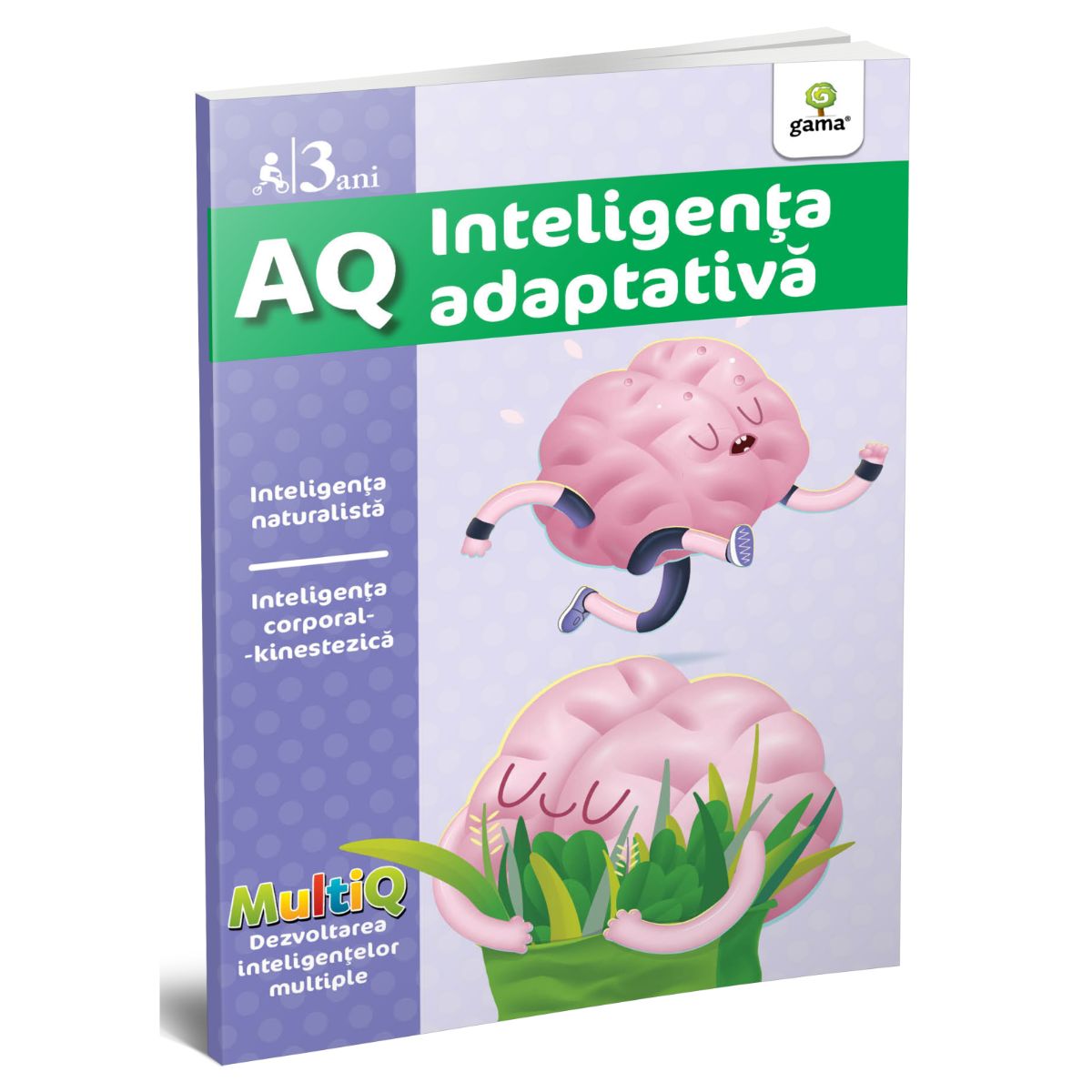 AQ. Inteligenta adaptiva, 3 ani, MultiQ adaptiva