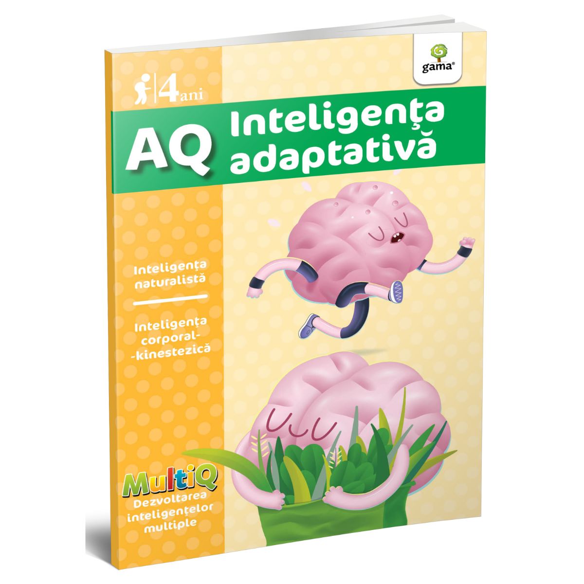 AQ. Inteligenta adaptiva, 4 ani, MultiQ adaptiva