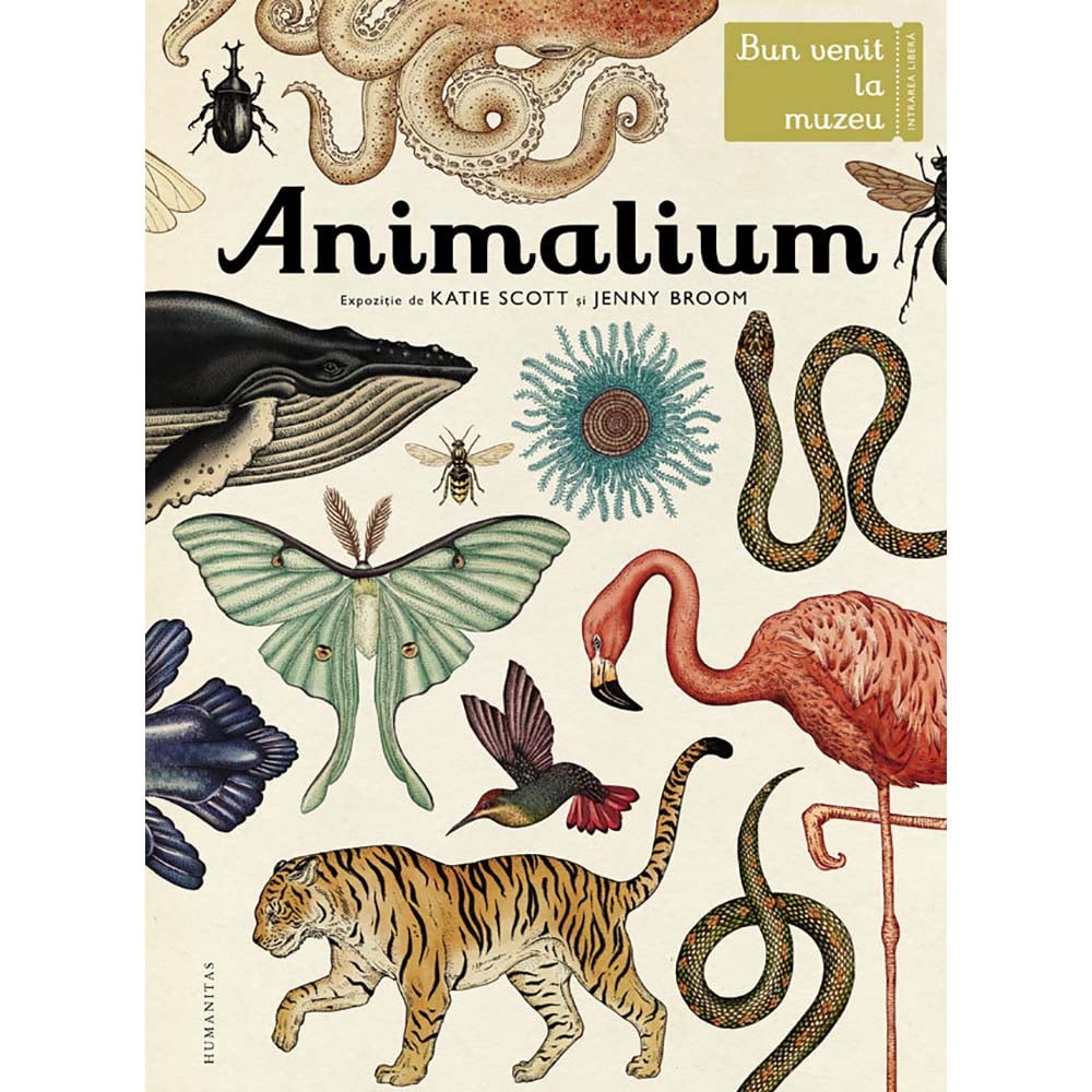 Carte editura humanitas, animalium, katie scott