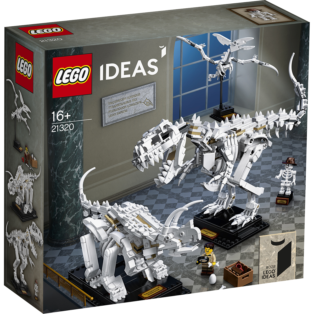 LEGO® Ideas - Fosile de dinozauri (21320)