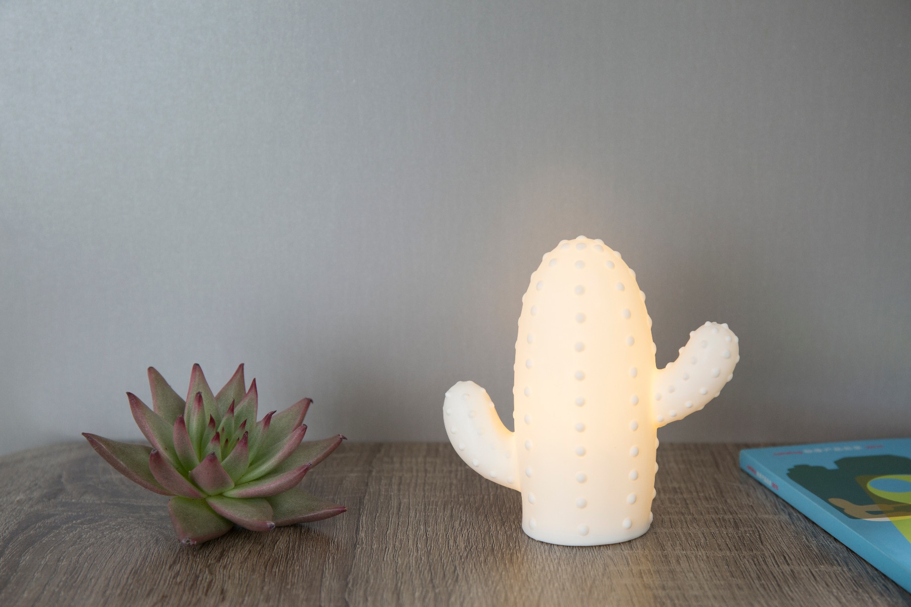 Lampa de veghe - Cactus imagine