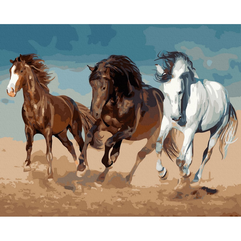 Set Pictura pe numere, Acuarello, Wild horses