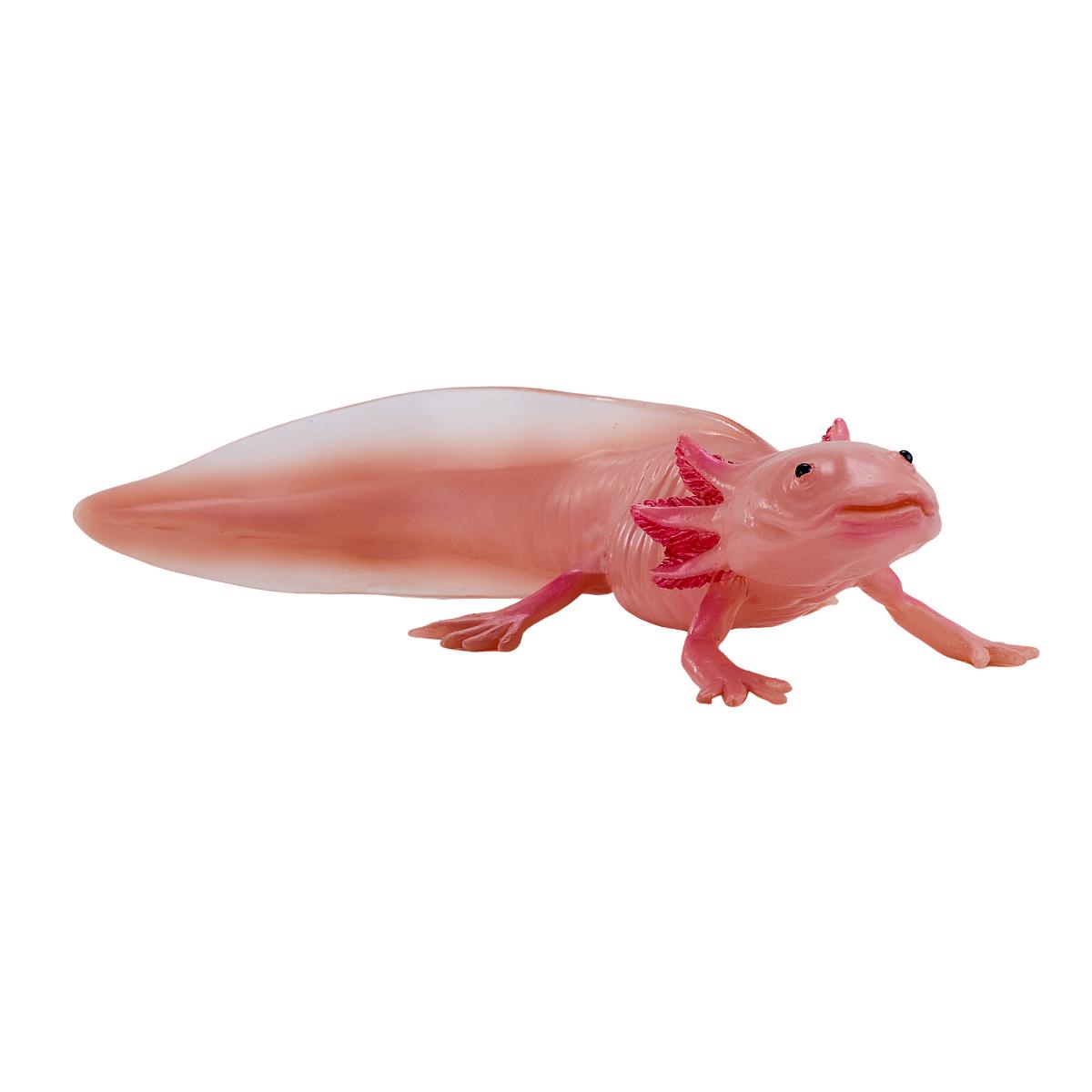 Figurina Mojo, Salamandra Axolotl