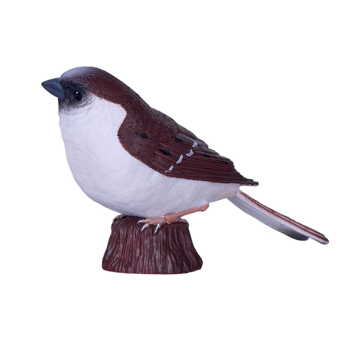 Aceasta este imaginea corespunzatoare acestui obiect