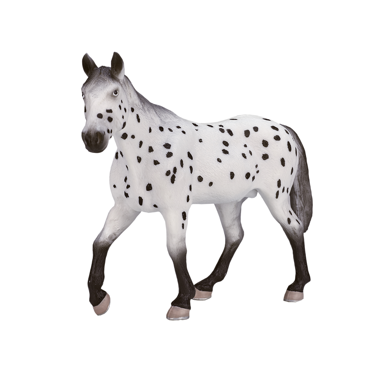 Aceasta este imaginea corespunzatoare acestui obiect