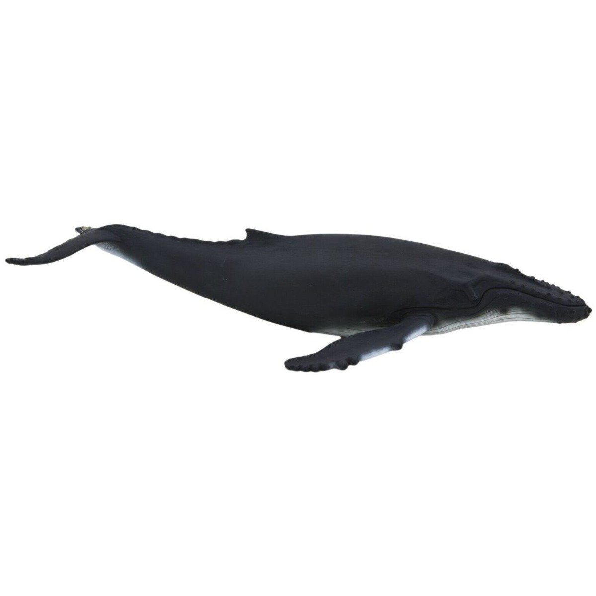 Figurina Mojo, Balena cu cocoasa