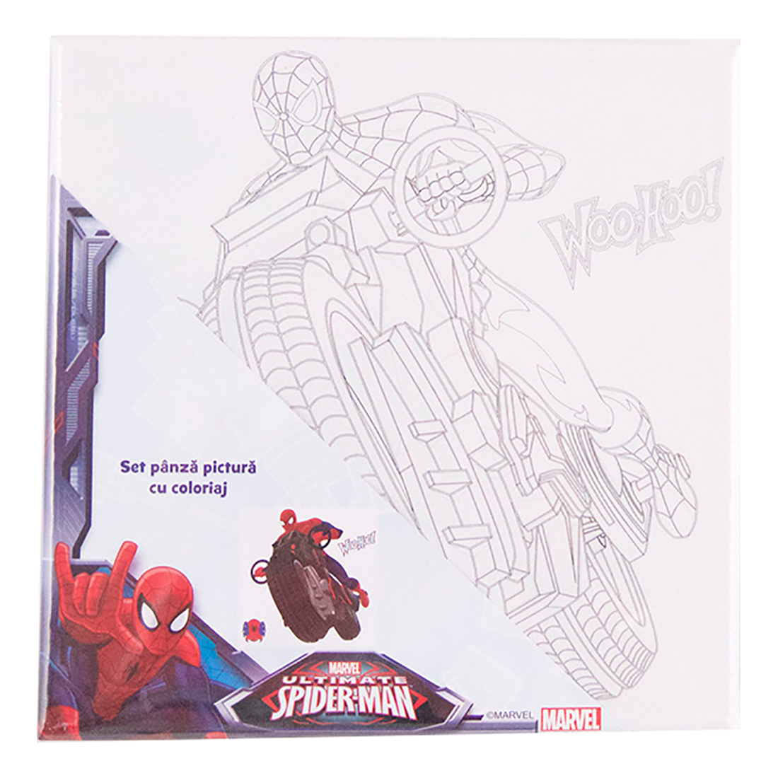 set pictura pe panza 20 x 20 cm - spiderman